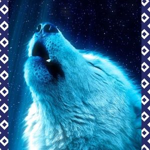 Meet your Posher, Coleen